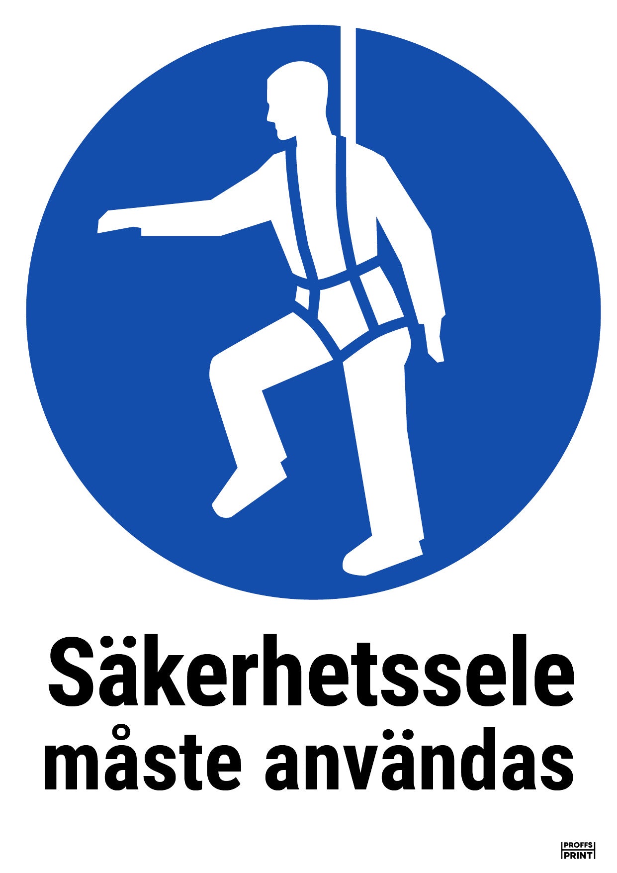pabudsskyltar- sakerhetssele-maste-anvandas